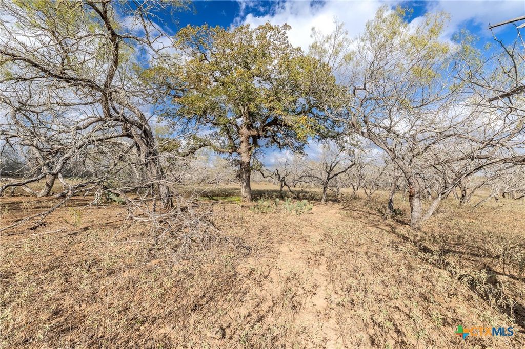 Image 25 of property listing at TBD County Road 113, Nixon, TX 78140