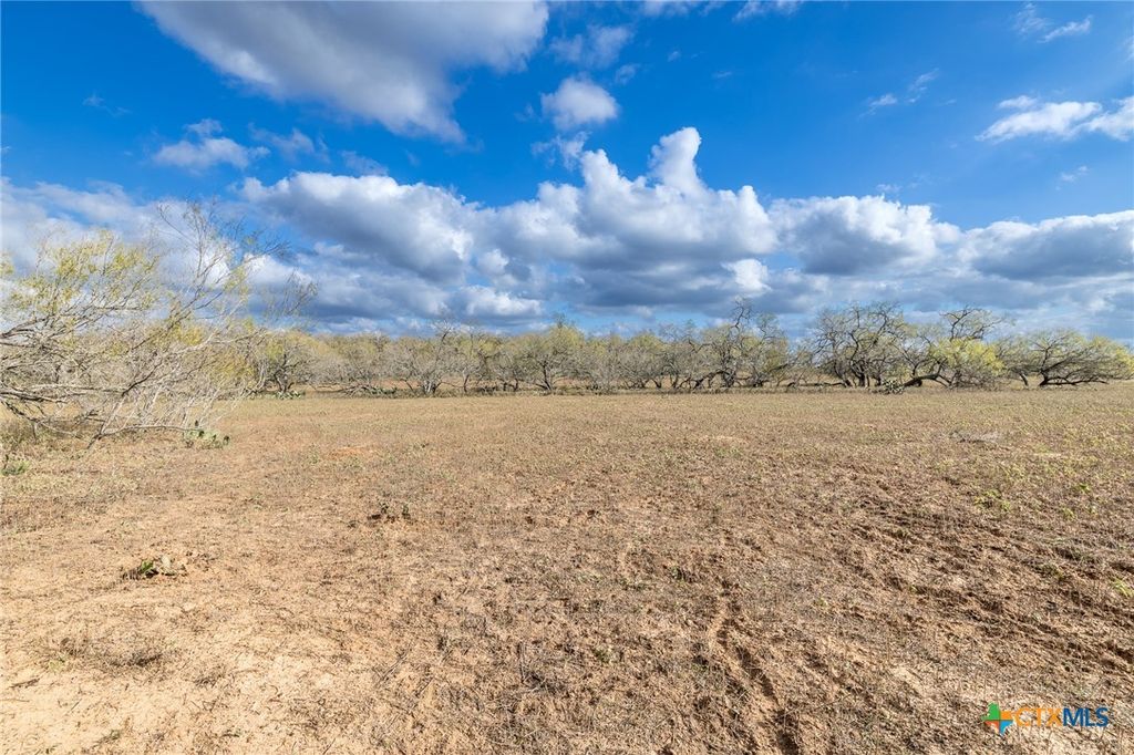 Image 26 of property listing at TBD County Road 113, Nixon, TX 78140