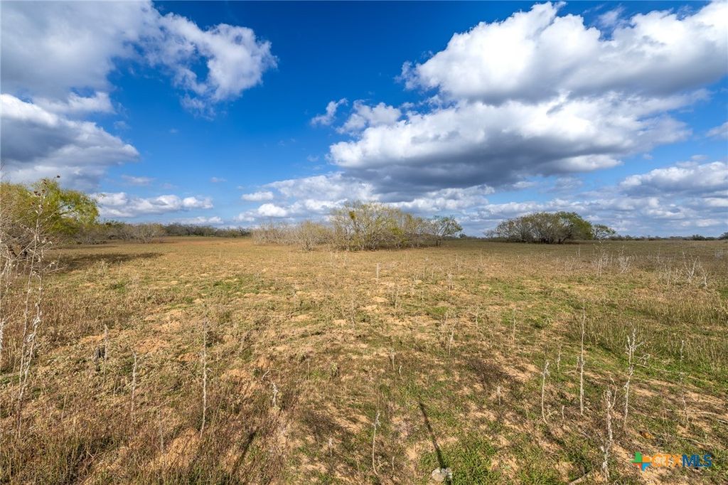 Image 29 of property listing at TBD County Road 113, Nixon, TX 78140