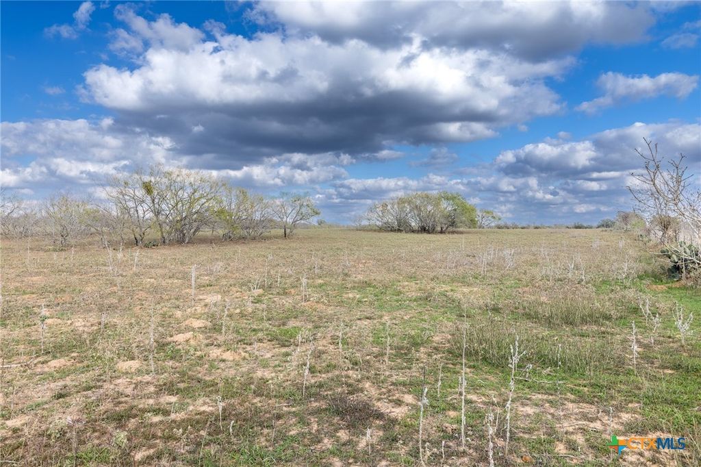 Image 30 of property listing at TBD County Road 113, Nixon, TX 78140