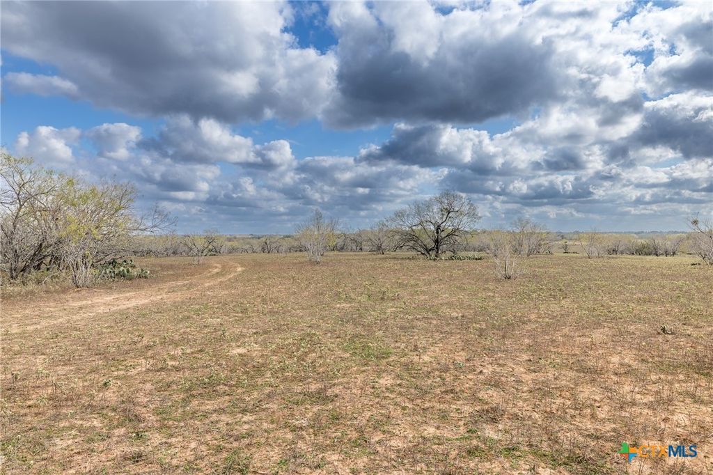 Image 4 of property listing at TBD County Road 113, Nixon, TX 78140