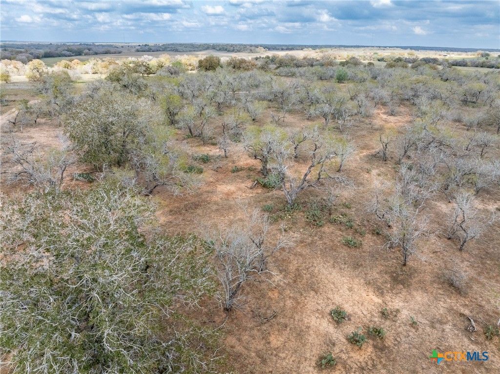 Image 39 of property listing at TBD County Road 113, Nixon, TX 78140