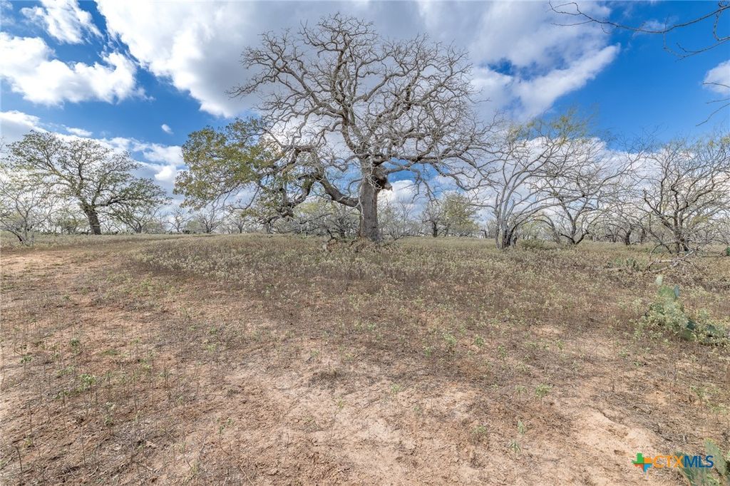 Image 5 of property listing at TBD County Road 113, Nixon, TX 78140