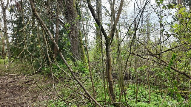 17584 Allen Road, Bow, WA 98232