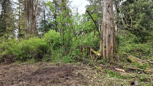 17584 Allen Road, Bow, WA 98232