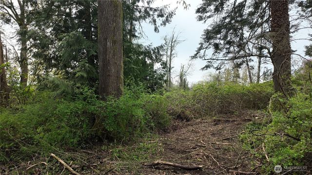 17584 Allen Road, Bow, WA 98232