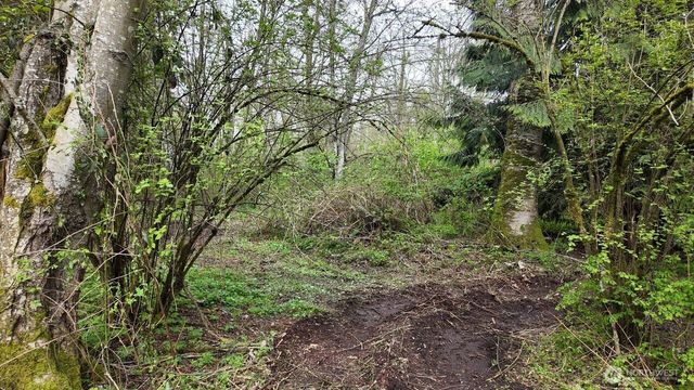17584 Allen Road, Bow, WA 98232