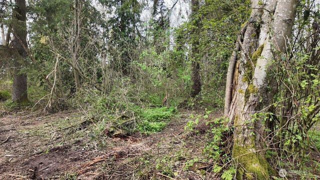17584 Allen Road, Bow, WA 98232