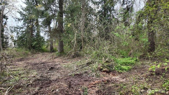 17584 Allen Road, Bow, WA 98232
