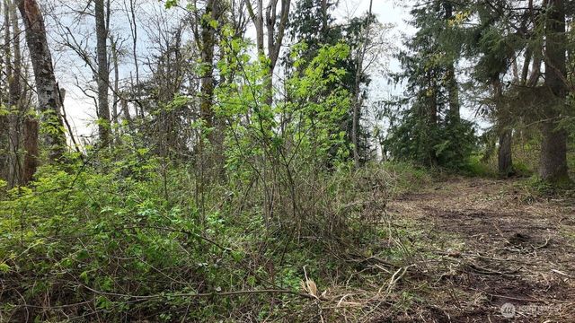 17584 Allen Road, Bow, WA 98232