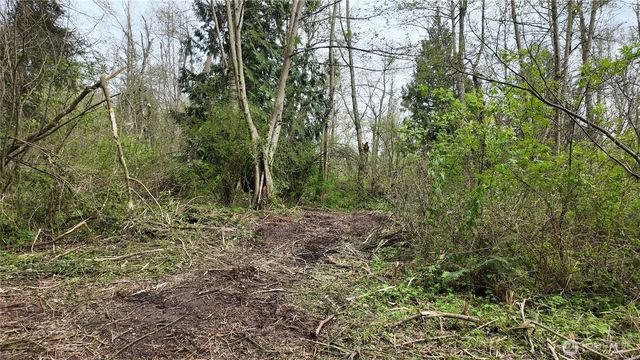 17584 Allen Road, Bow, WA 98232