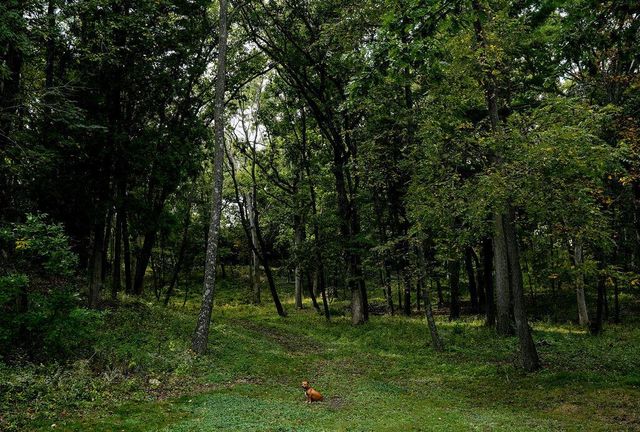 W3895 Timber Lake ROAD, East Troy, WI 53120