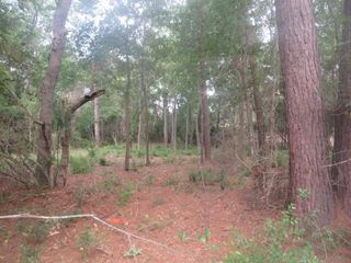 15245 Hillshire Pl, Plantersville, TX 77363