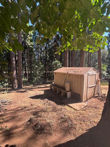 6200 Spruce Ave, Pollock Pines, CA 95726