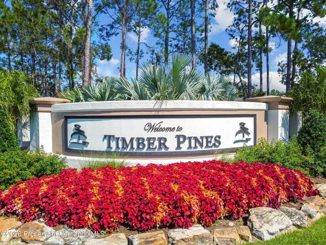 2587 Crystal Lake Drive, Spring Hill, FL 34606