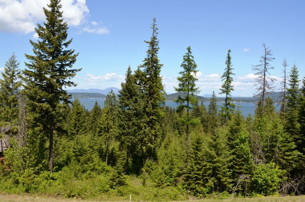 5343 S JACKLEG TRL, Harrison, ID 83833