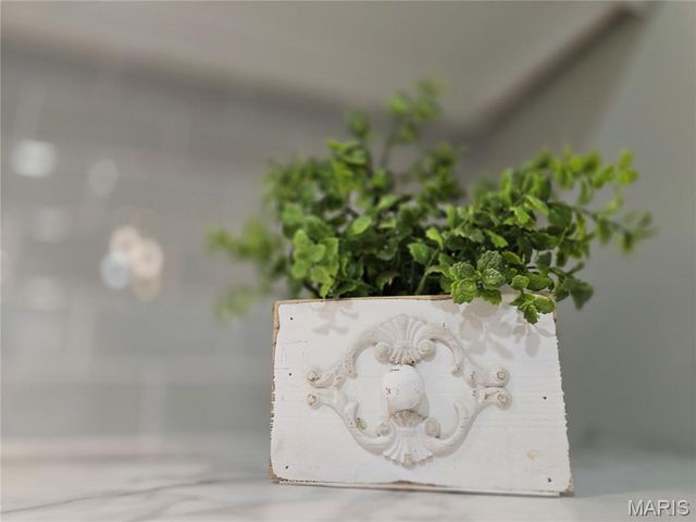 1003 W Saint Francis Street, Dexter, MO 63841