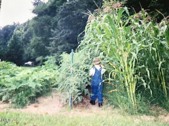 2501 Mary Marvin Trail, Fuquay Varina, NC 27526