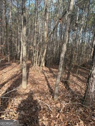 0 Hillview Road, Hampton, GA 30228