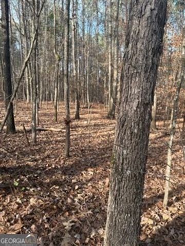 0 Hillview Road, Hampton, GA 30228