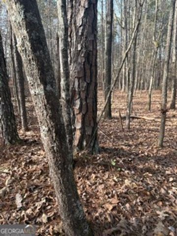 0 Hillview Road, Hampton, GA 30228