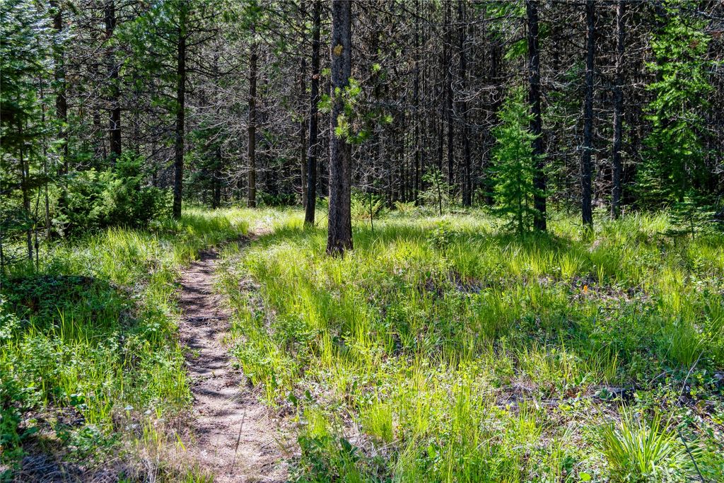 582 Whitefish Hills Loop, Whitefish, MT 59937 photo 4