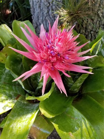 1720 FOSSIL DRIVE, Englewood, FL 34223