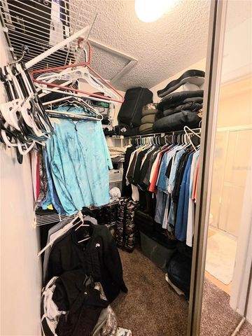 3121 E BEECHER DRIVE E D, Palm Harbor, FL 34683