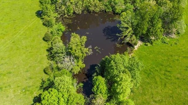 000 State Route M Highway Highway, Koshkonong, MO 65692