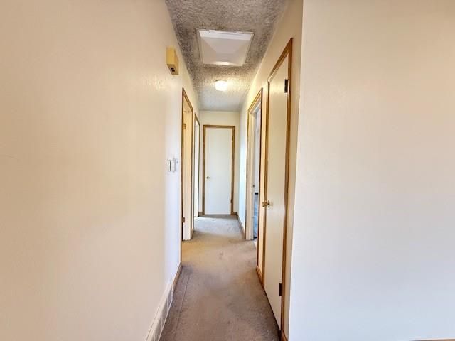 475 Appaloosa Lane, Grand Junction, CO 81504