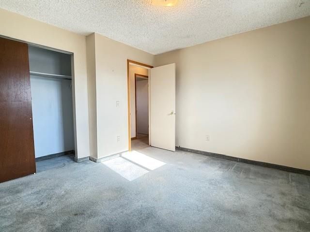 475 Appaloosa Lane, Grand Junction, CO 81504