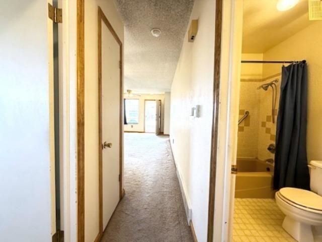 475 Appaloosa Lane, Grand Junction, CO 81504