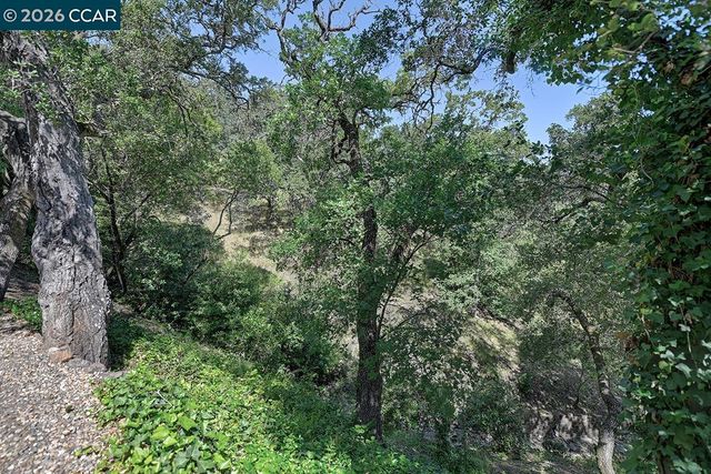 1332 Running Springs Rd 2, Walnut Creek, CA 94595