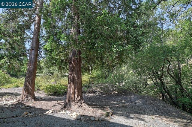 1332 Running Springs Rd 2, Walnut Creek, CA 94595