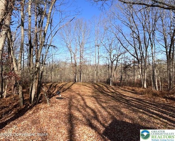 9 Pinoak Drive, Penn Forest Twp, PA 18229