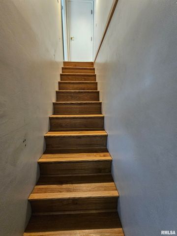 110 N Lark Lane, Carbondale, IL 62901