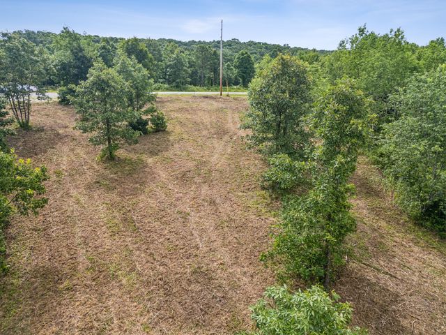 0 Bear Hollow Dr, Waverly, TN 37185