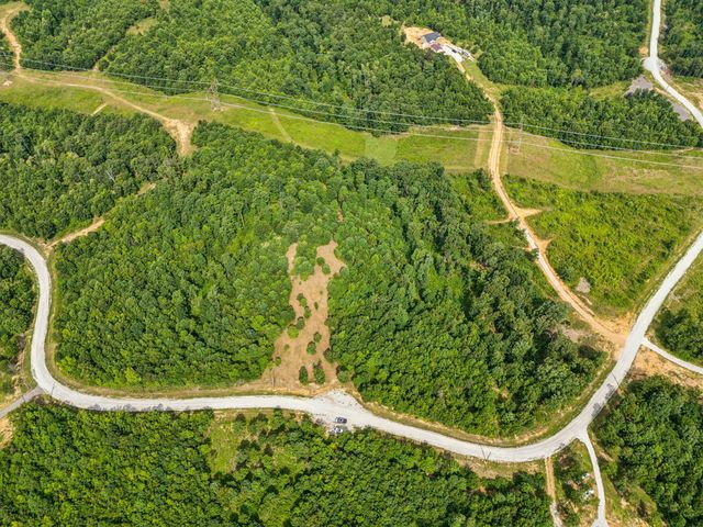 0 Bear Hollow Dr, Waverly, TN 37185