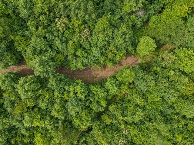 0 Bear Hollow Dr, Waverly, TN 37185