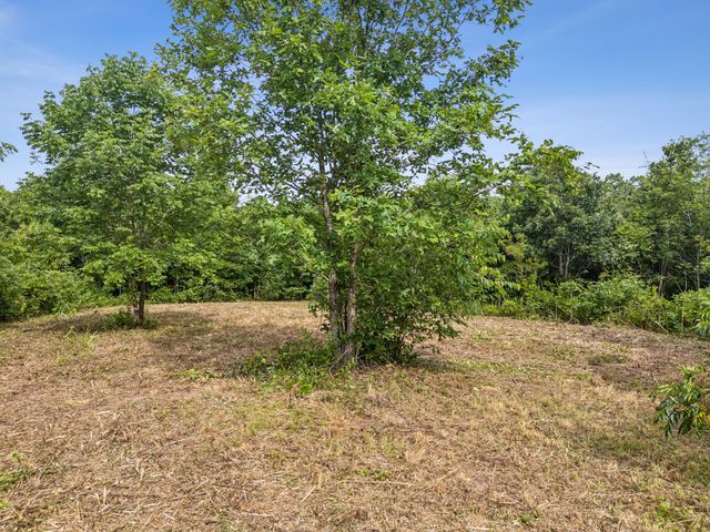 0 Bear Hollow Dr, Waverly, TN 37185