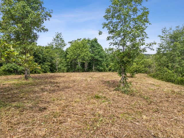 0 Bear Hollow Dr, Waverly, TN 37185