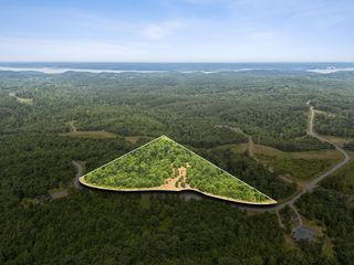 0 Bear Hollow Dr, Waverly, TN 37185