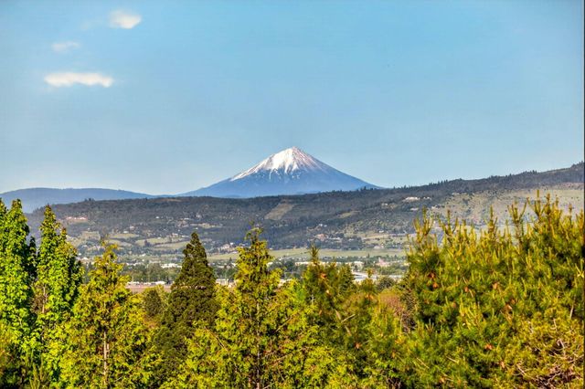 2244 Hillside Drive, Medford, OR 97502