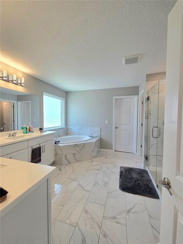 13521 PALMERA VISTA DRIVE, Riverview, FL 33579