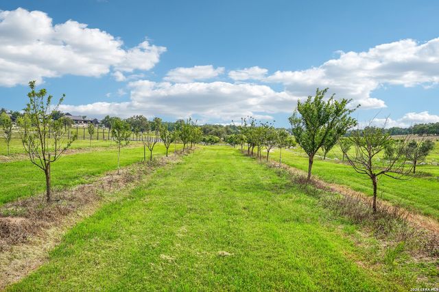 162 Flowering Sage Lane, Fredericksburg, TX 78624