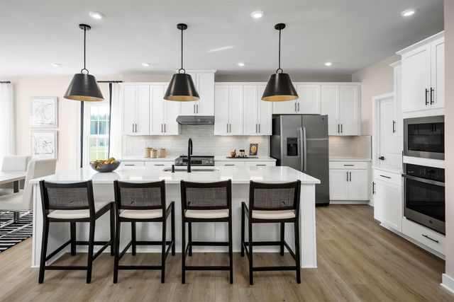 209 Copper Pointe Loop, Conway, SC 29526