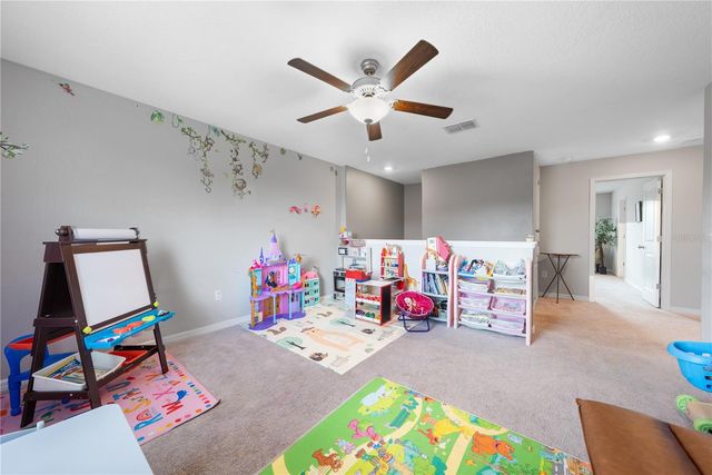 10291 SHADY PRESERVE DRIVE, Riverview, FL 33578