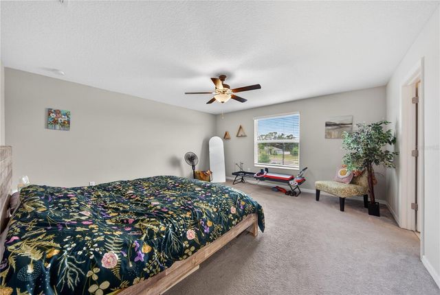 10291 SHADY PRESERVE DRIVE, Riverview, FL 33578