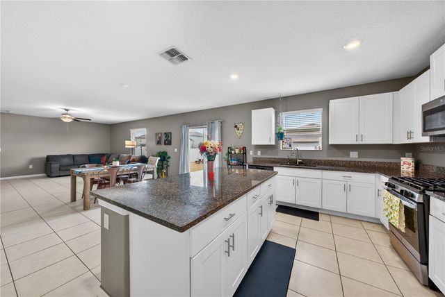 10291 SHADY PRESERVE DRIVE, Riverview, FL 33578