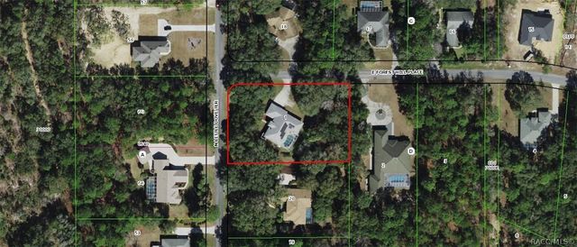 578 E Foresthill Place, Hernando, FL 34442